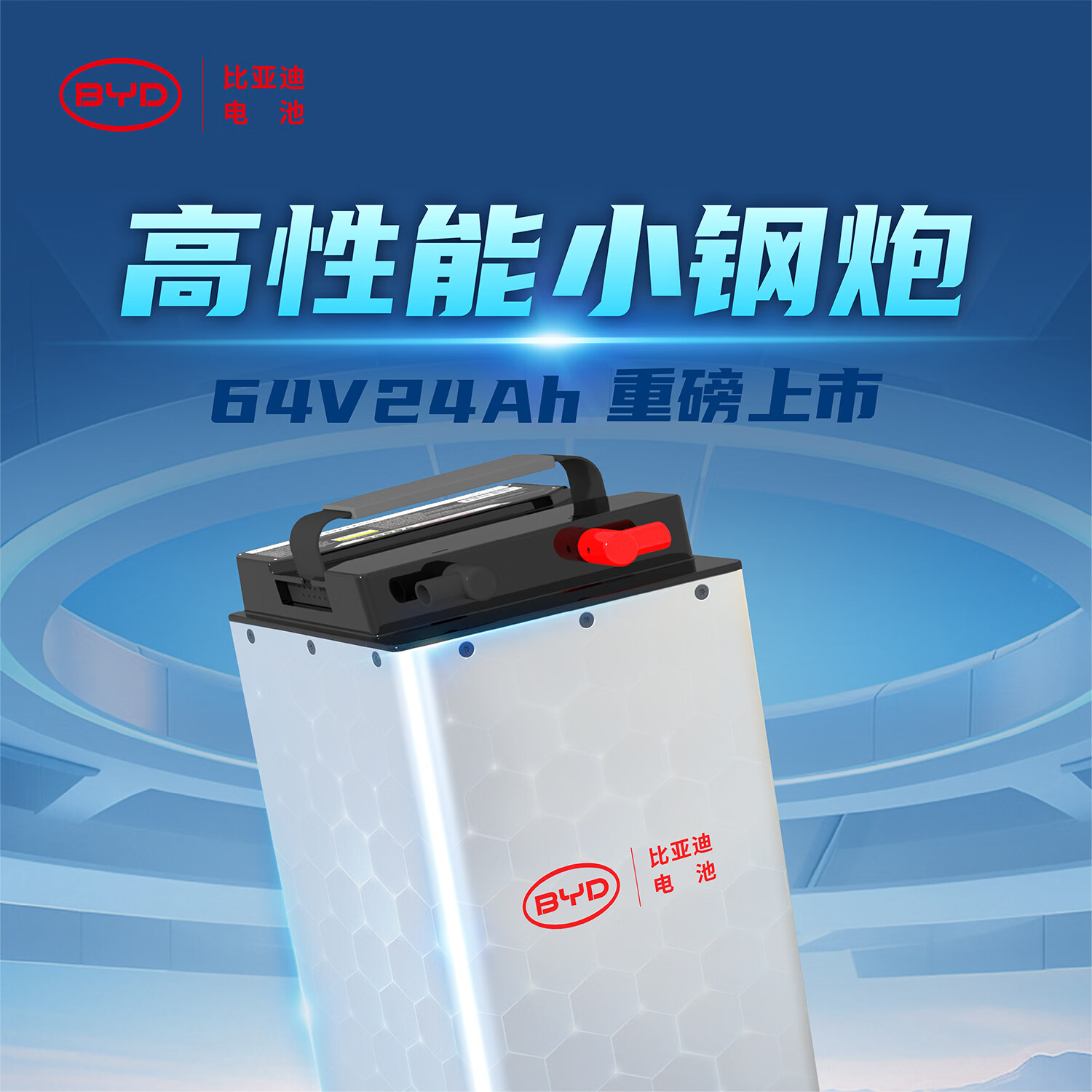 BYD 64V 24Ah electric two-wheeler battery